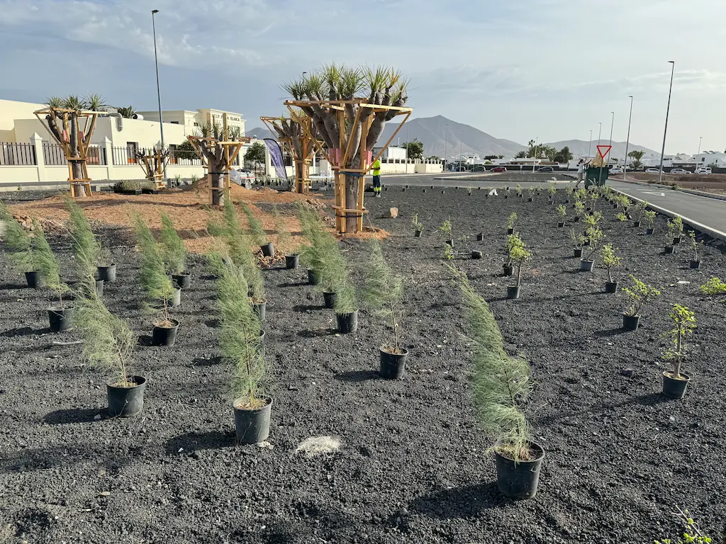 Paisajismo y corrección de impacto de infraestructuras